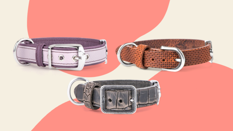 Get Stylish And Durable Leather Collars For Your Furry Friend.